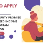 Cook County promise Guaranteed Income pilot program Application