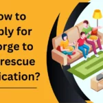 How to Apply for George to the rescue application?