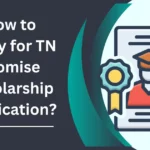 How to Apply for TN Promise Scholarship Application?