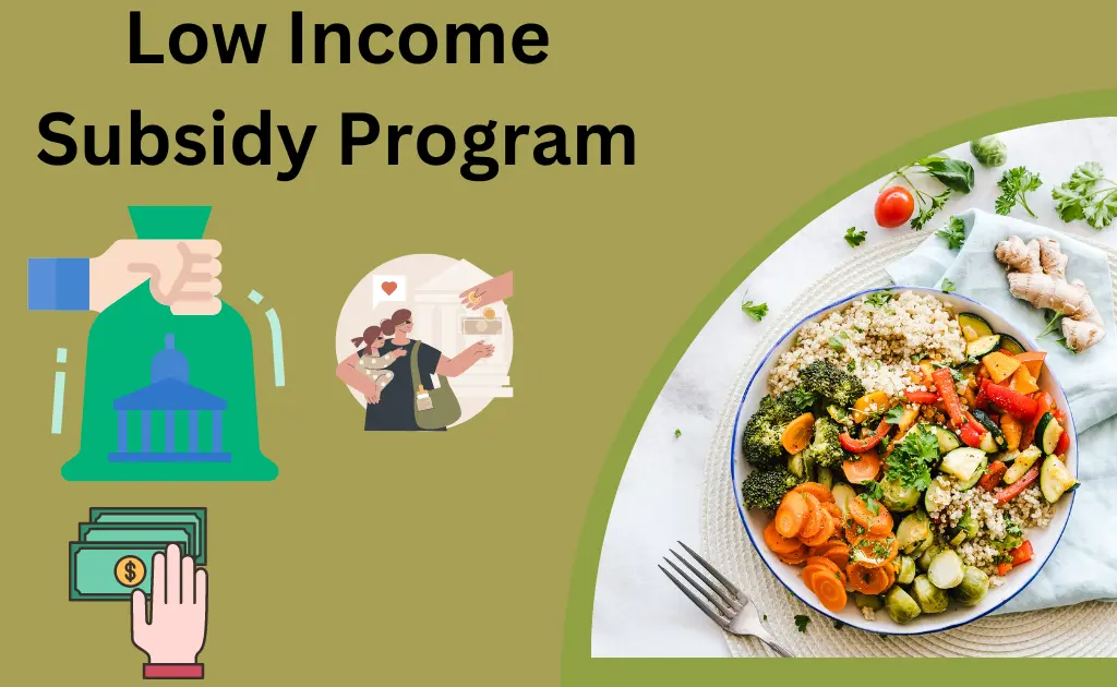 Low Income Subsidy Program
