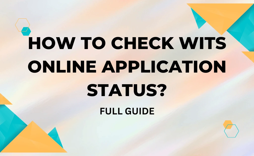 how to check wits online application status