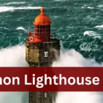 Zumon Lighthouse Job application