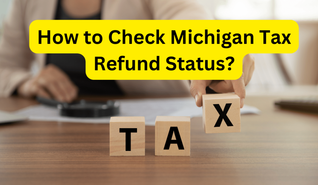 How to Check Michigan Tax Refund Status Online (2024)?