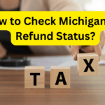 Michigan Tax Refund Status