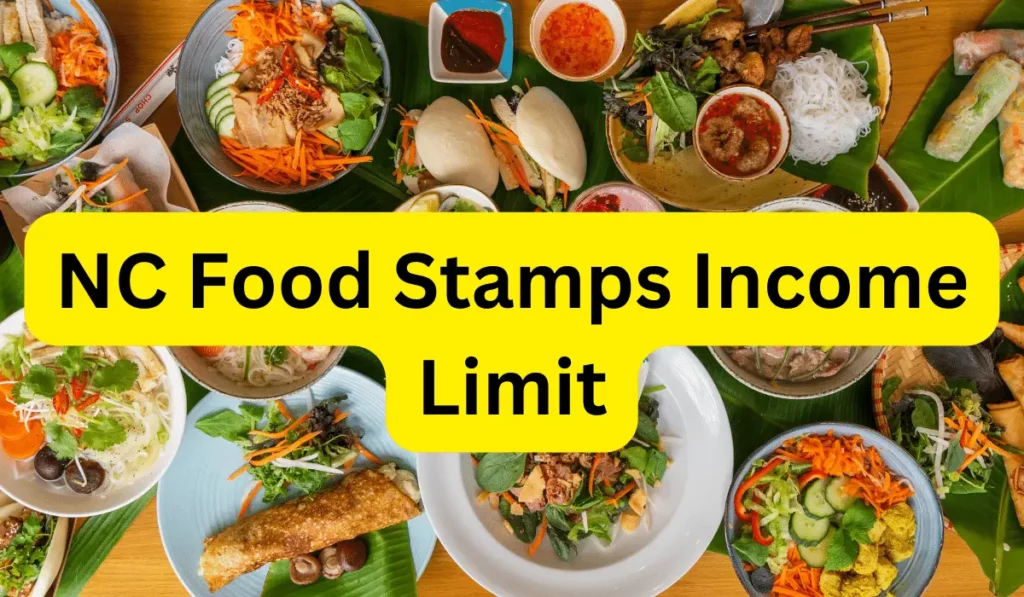 NC Food Stamps Income Limit